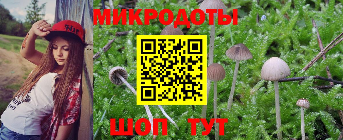 Псилоцибиновые грибы Magic Shrooms Ставрополь