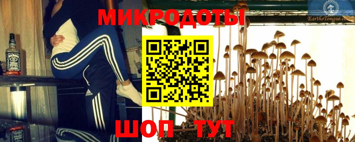 Ставрополь  Галлюциногенные грибы Psilocybine cubensis  Вход с VPN  купить наркоту  Галлюциногенные грибы мухоморы 